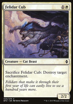 Felidar Cub